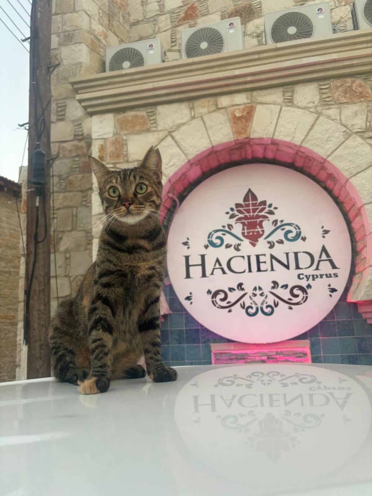 La Hacienda Cyprus Otel Limasol Dış mekan fotoğraf